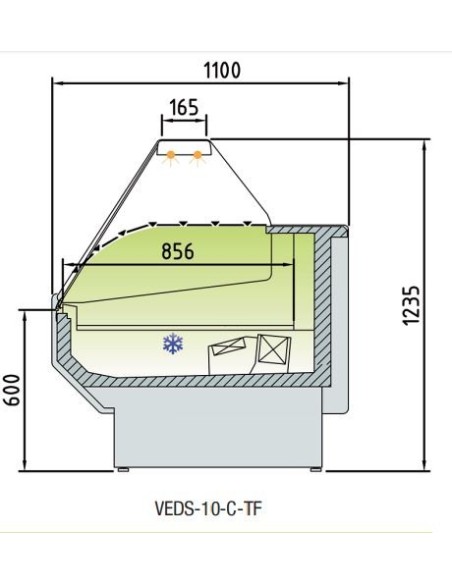 Vitrina Expositora Serie 10 SPEED (sin reserva)
