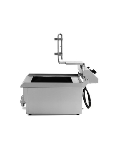 Freidora Eléctrica de Acero Inox. de 235x195x300 mm