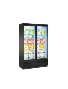 Armario Expositor Congelación 2 puertas cristal 930L