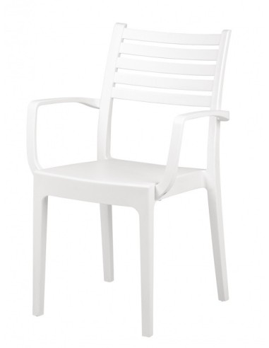 Sillón Olimpia-2 - Grupo Sergonpec