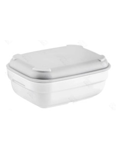 Fuente rectangular policarbonato - Compra online - Grupo SERGONPEC Equipacion hosteleria