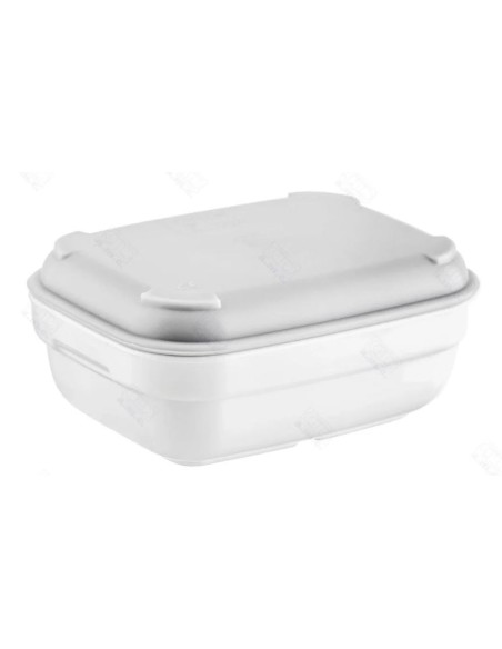 Fuente rectangular policarbonato - Compra online - Grupo SERGONPEC Equipacion hosteleria