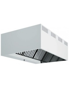 Campana mural recta (2 piezas)